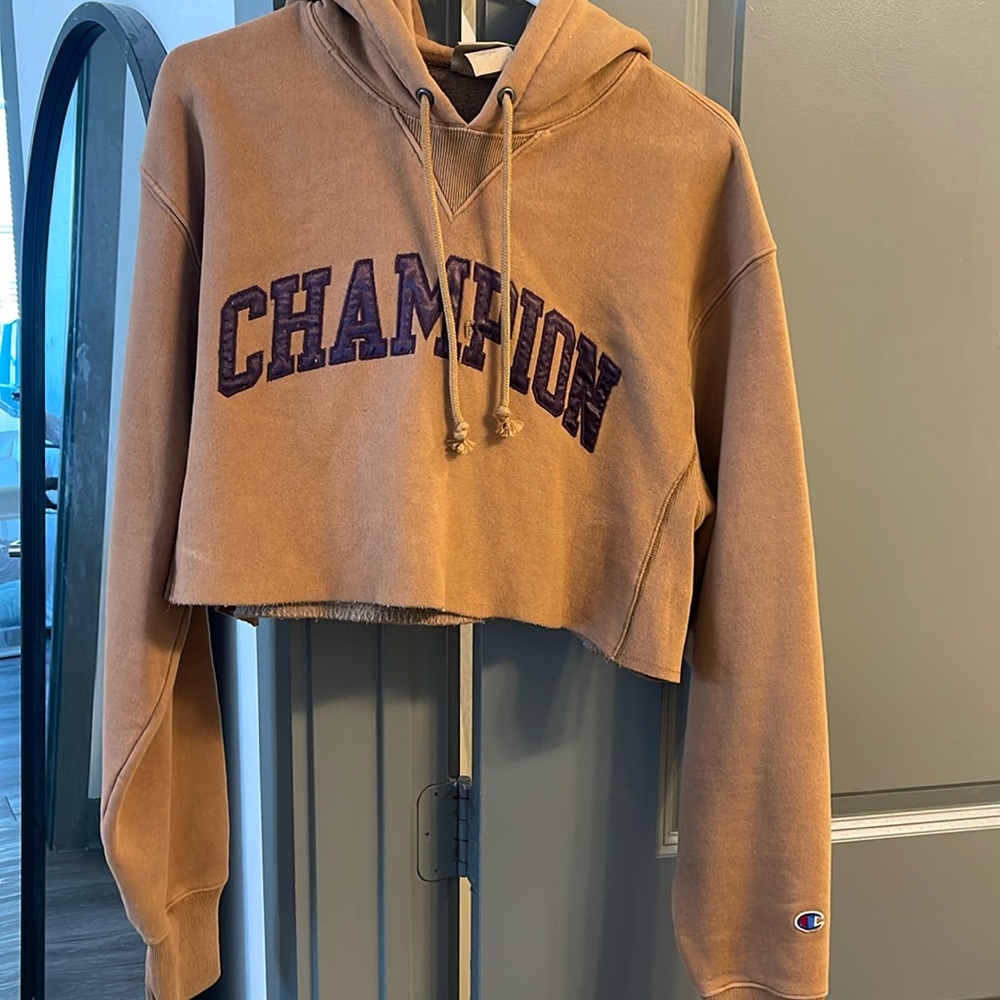 Brown crop Champion Hoodie